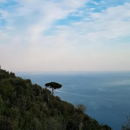 Yourhome - Relais Casa Degli Angeli شقة